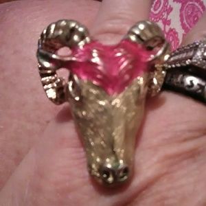 Ram ring